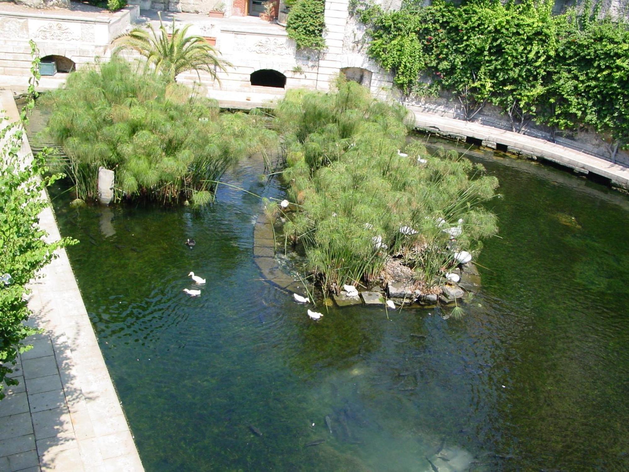 Bed and Breakfast Residenza Matteotti Syracuse Екстер'єр фото
